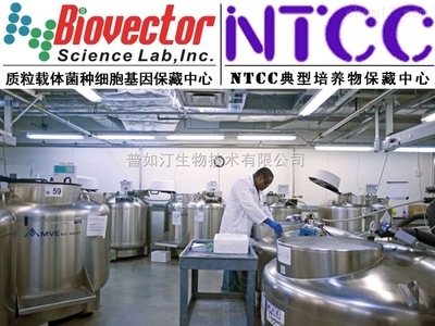 pAAV2/5载体系统技术开发与供应趋势分析